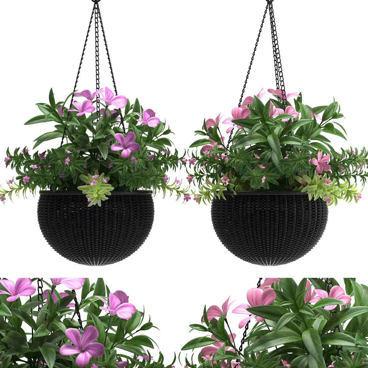 decoration – Hanging plants 03 3ds Max