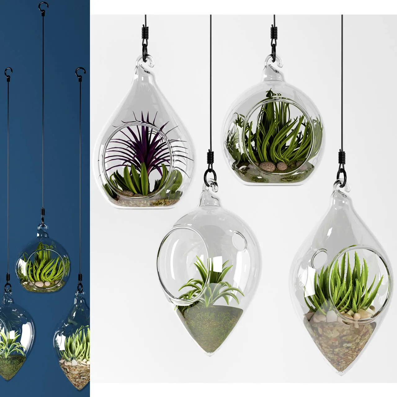 decoration – Hanging plants 04 3ds Max