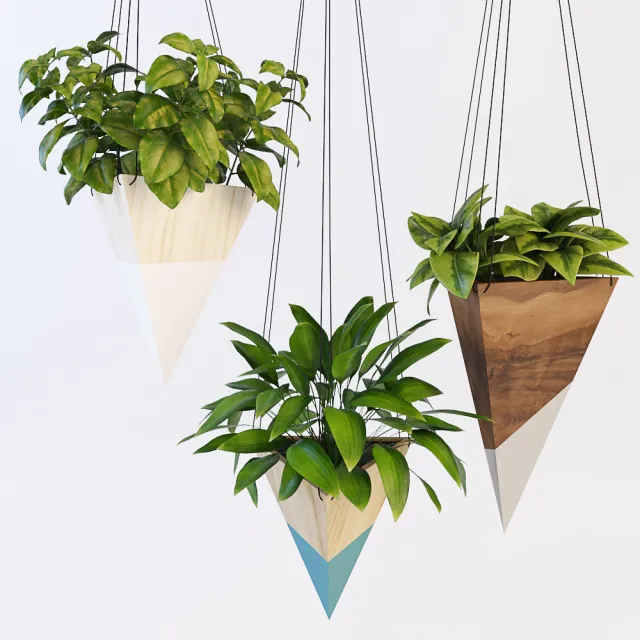 decoration – Hanging plants 045 3ds Max