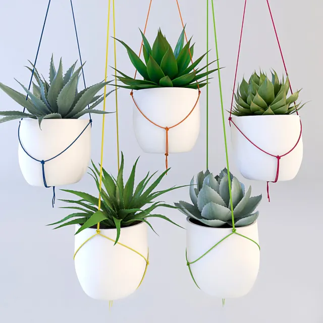 decoration – Hanging plants 05 3ds Max