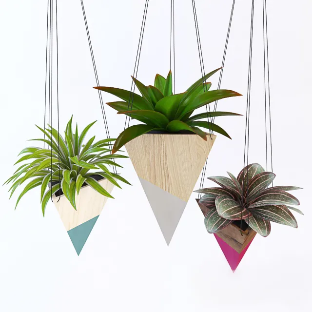 decoration – Hanging plants 06 3ds Max