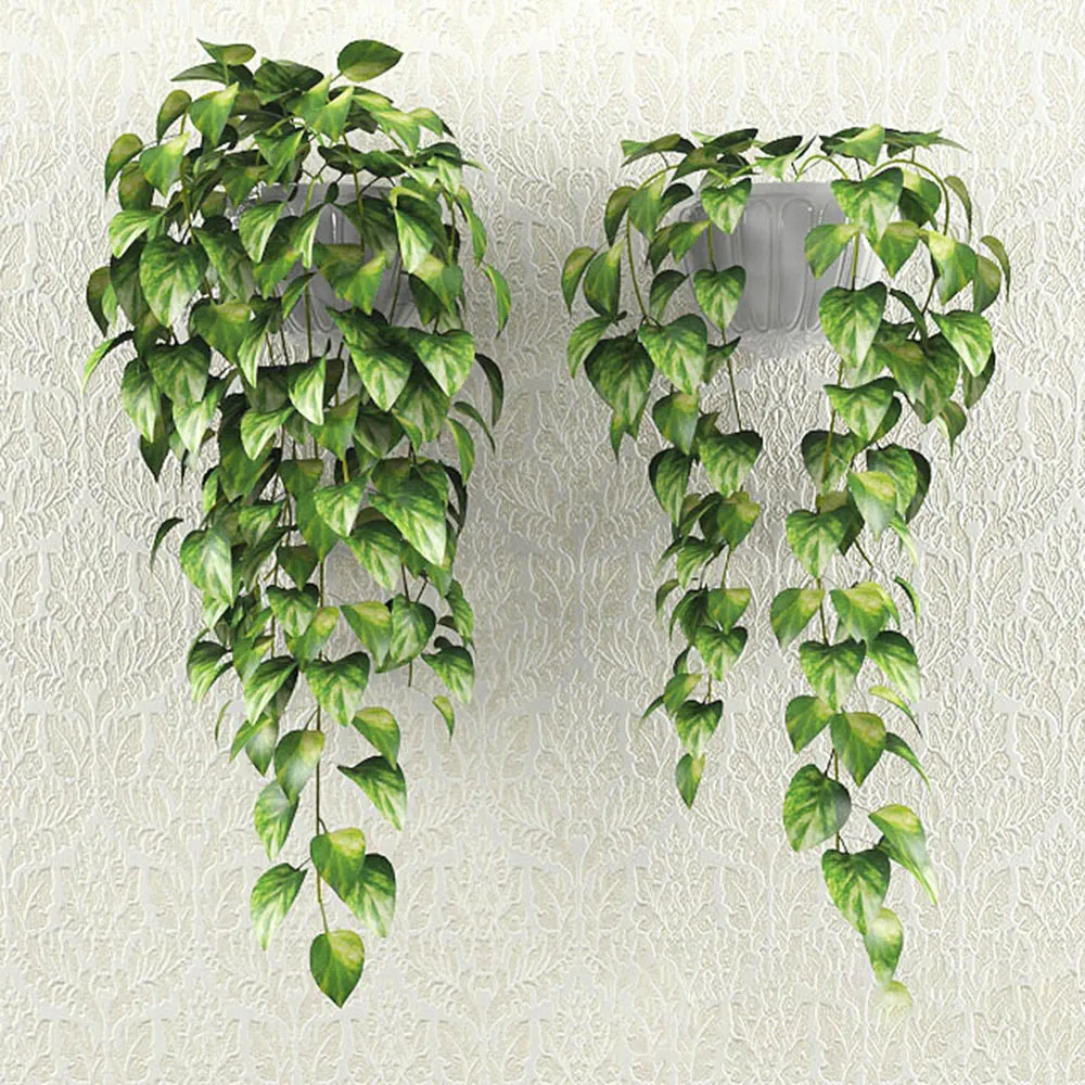 decoration – Hedera loach bush 3ds Max