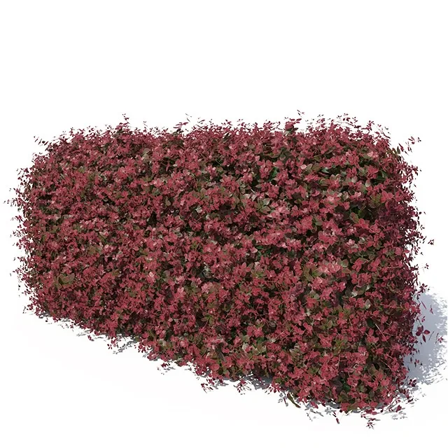 decoration – Hedge 3ds Max