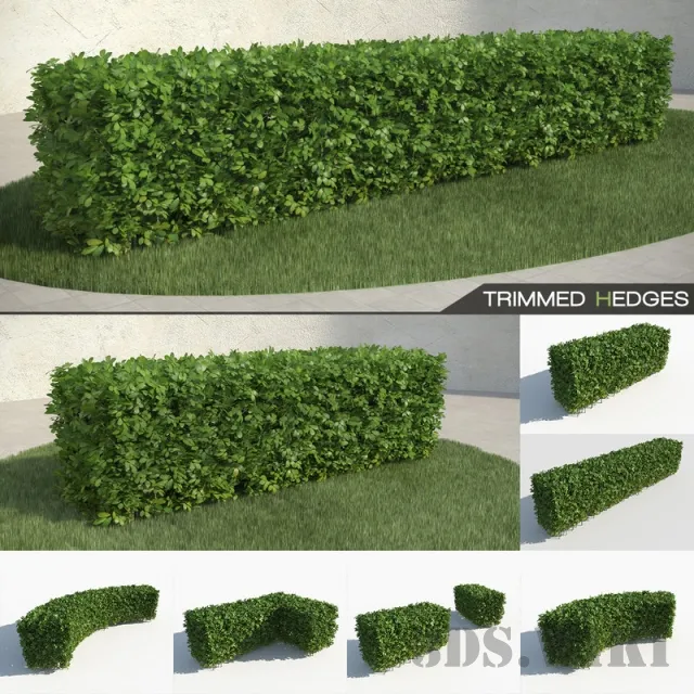 decoration – Hedge lenght 250 cm 3ds Max