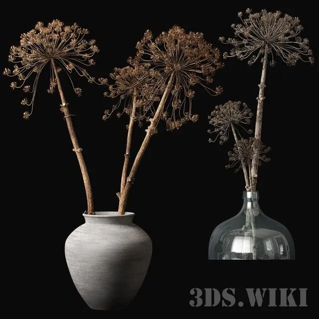 decoration – Heracleum in a vase 3ds Max