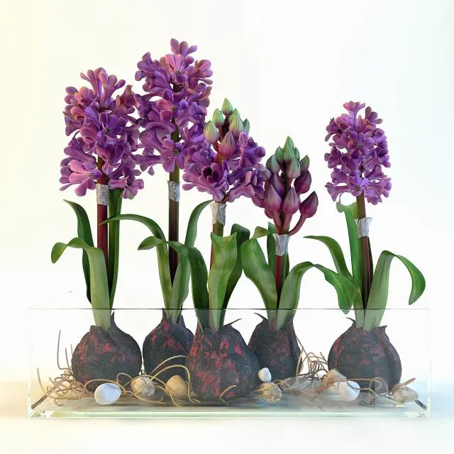 decoration – hiacynty 3ds Max