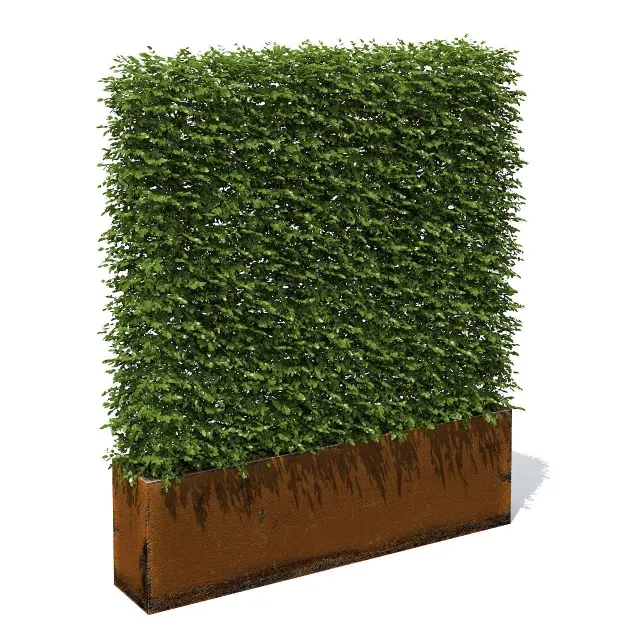decoration – High hedges 3ds Max