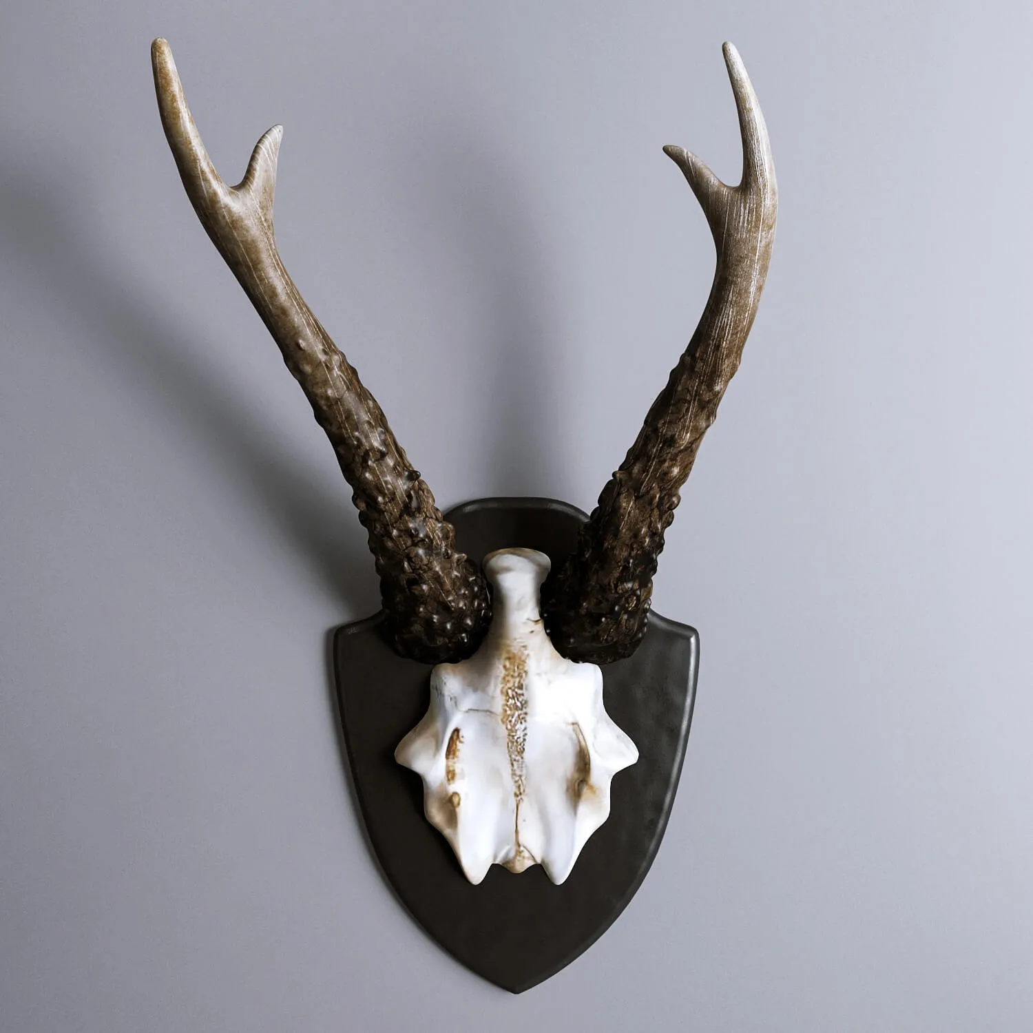 decoration – HKliving Artificial Deer Antler 3ds Max