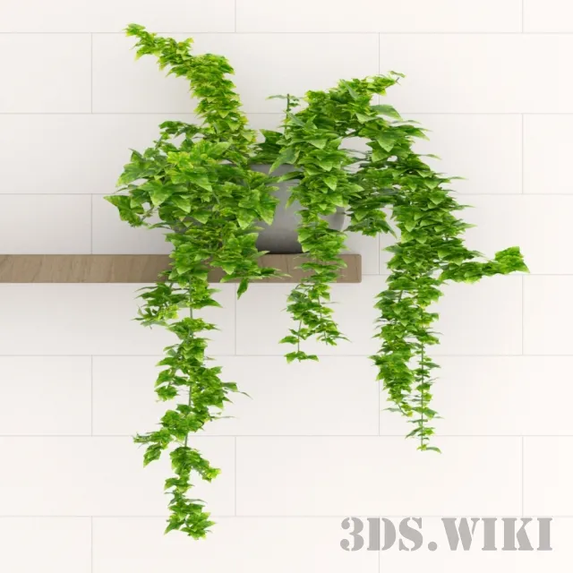 decoration – Home flowers heder 3ds Max