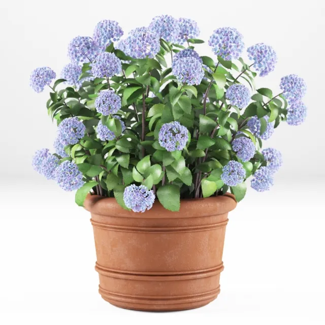 decoration – Hortense 3ds Max