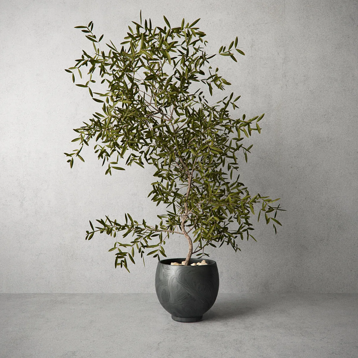 decoration – Houseplant 055 3ds Max