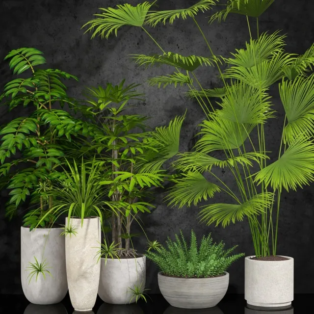 decoration – Houseplants 3ds Max