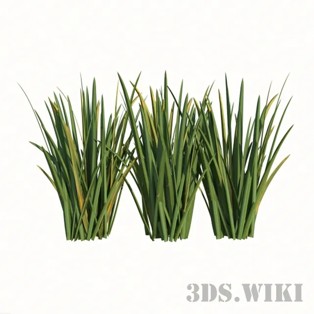 decoration – Houseplants For Ios 3ds Max