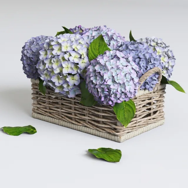 decoration – Hydrangea in basket 3ds Max