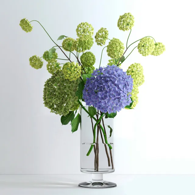 decoration – Hydrangeas and viburnum 77 3ds Max