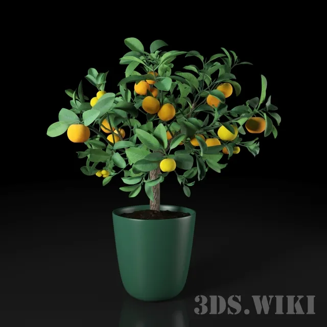 decoration – Indoor orange 3ds Max