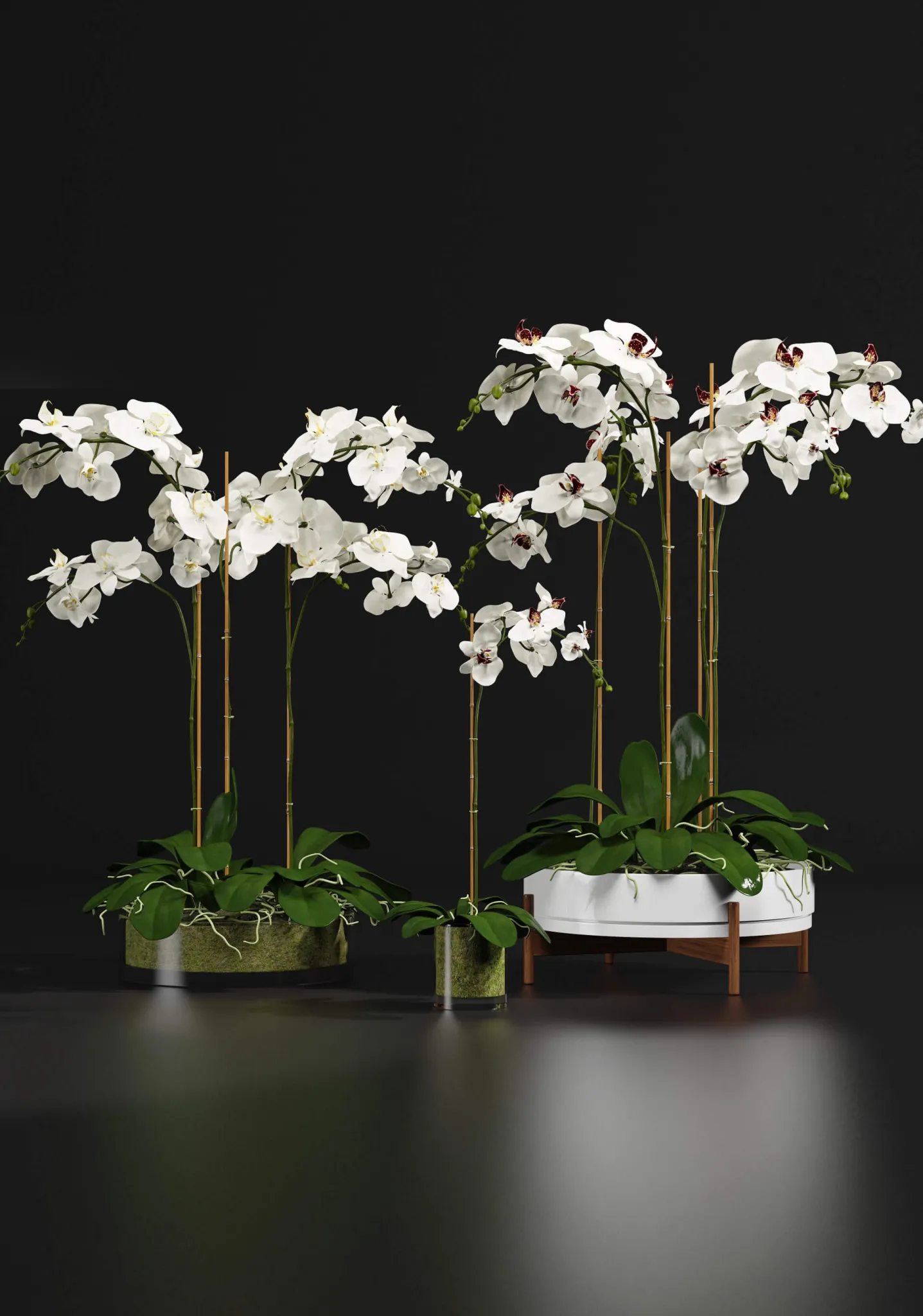 decoration – Indoor Orchids 3ds Max