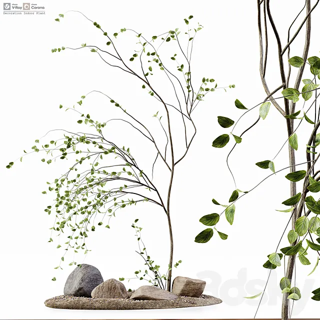 Decoration Indoor Plant 3ds Max