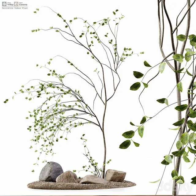 Decoration Indoor Plant 3dsMax Model