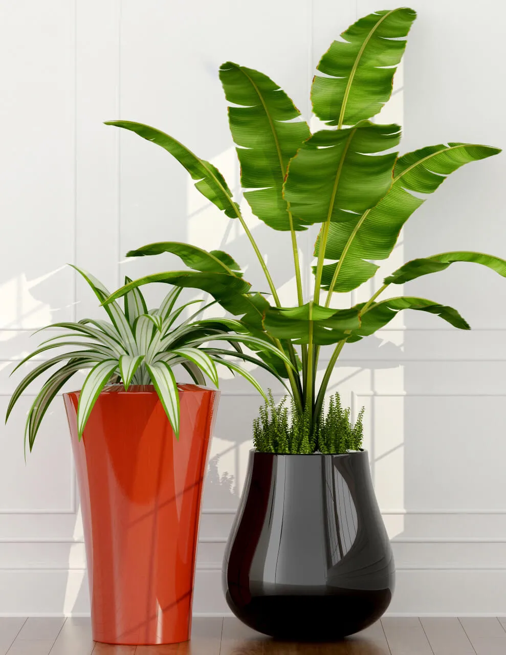 decoration – Indoor plants 3ds Max