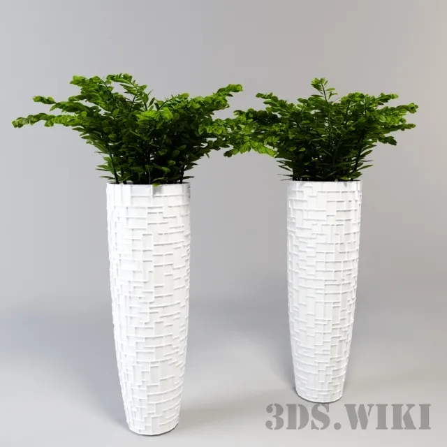 decoration – Indoor plants in beautiful vases 3ds Max