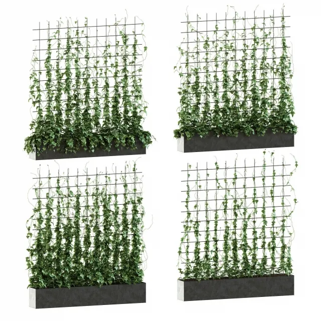 decoration – Ivy on the grid 3ds Max