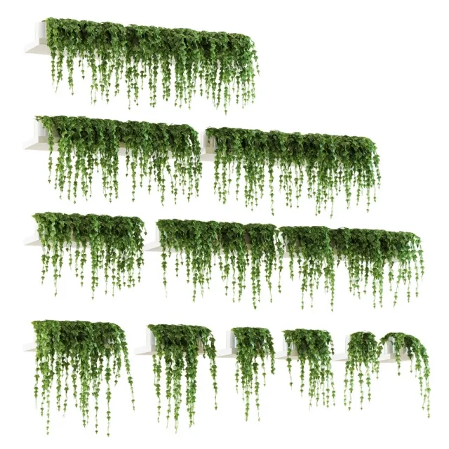 decoration – Ivy shelf 3ds Max