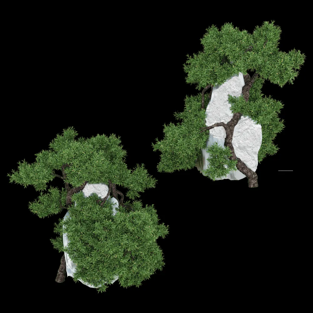 decoration – Juniperus Communis 01 02 3ds Max