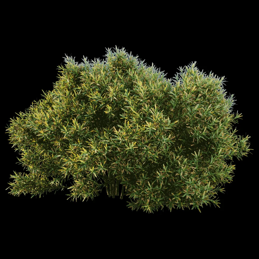 decoration – Juniperus communis 01 04 3ds Max