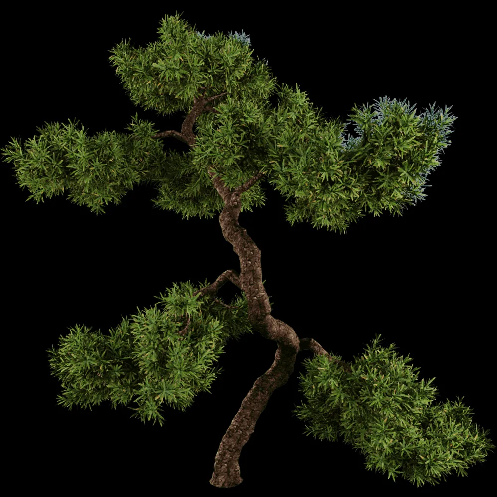 decoration – Juniperus communis 01 05 3ds Max