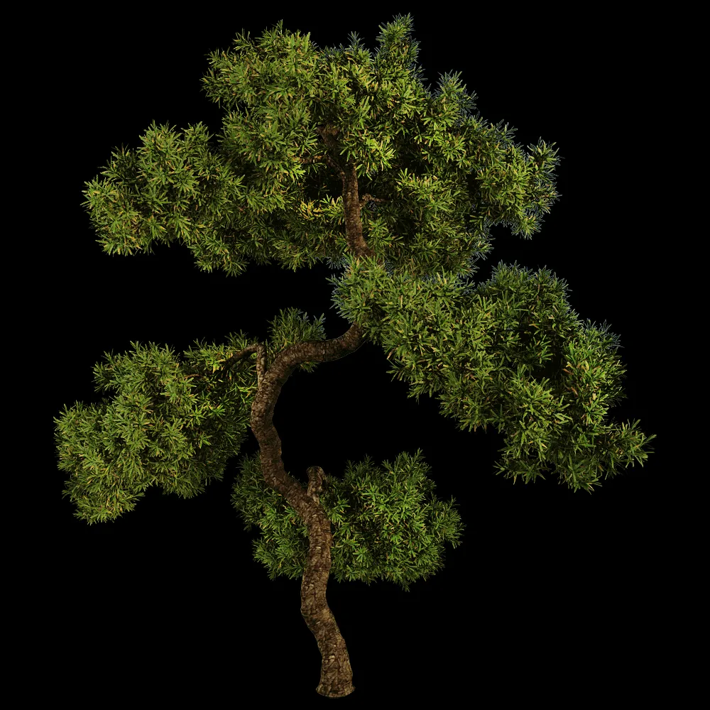 decoration – Juniperus communis 01 06 3ds Max