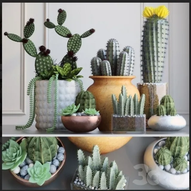 decoration – Kaktus 3ds Max