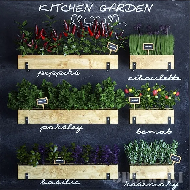 decoration – Kitchen garden 3ds Max