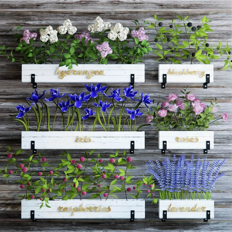 decoration – Kitchen garden 5 3ds Max