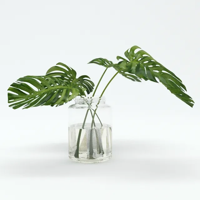 decoration – Leaves Tropical 3ds Max