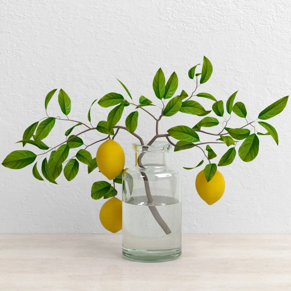 decoration – Lemons on branch setka 3ds Max