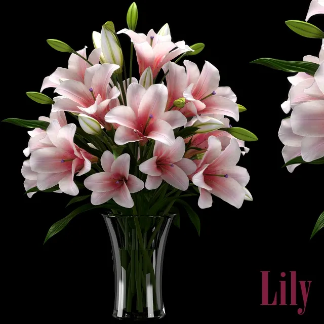 decoration – LILY 2 3ds Max