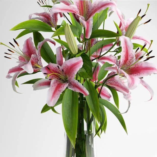 decoration – Lily bouquet 14 3ds Max