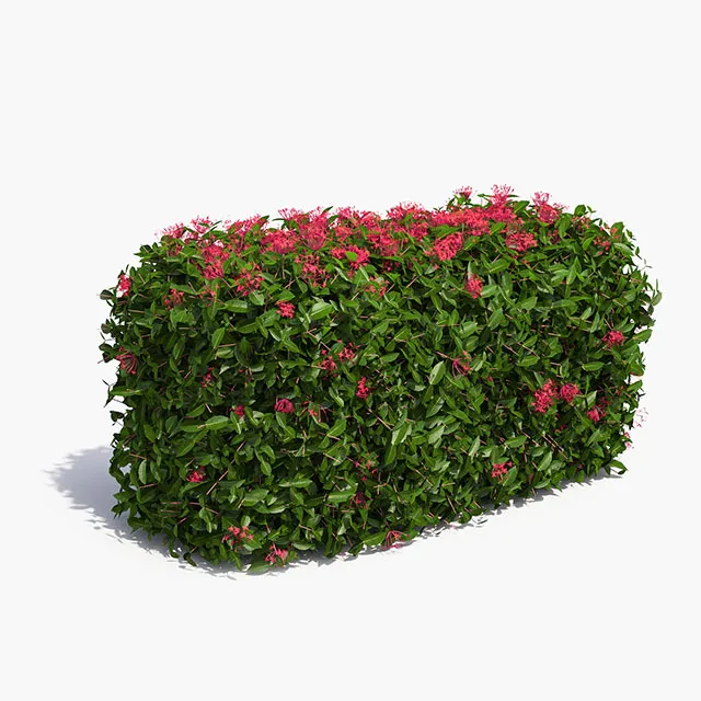 decoration – Low hedges 20 3ds Max