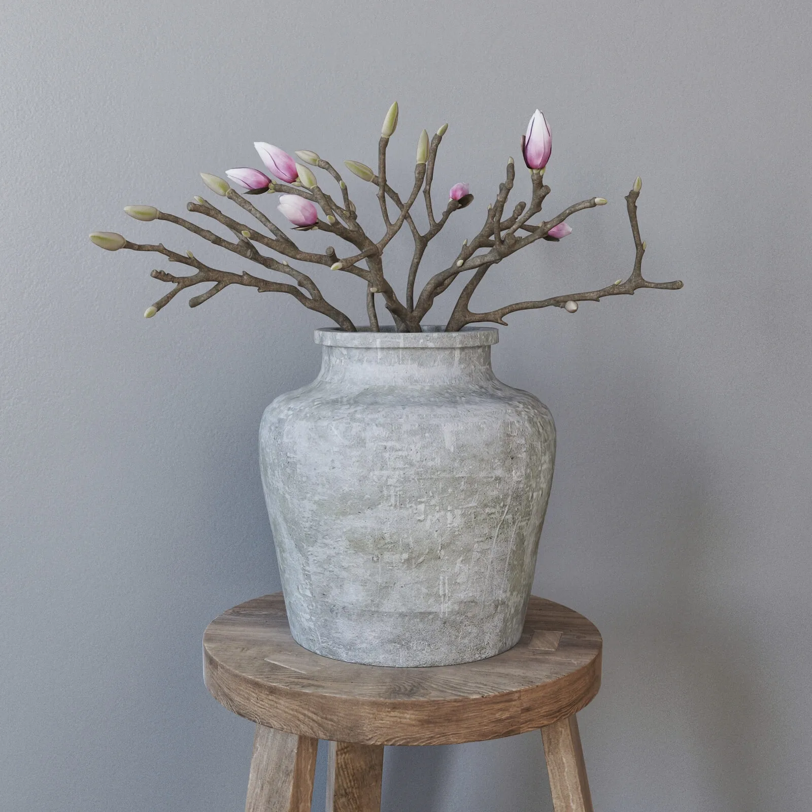 decoration – Magnolia in concrete vase 3ds Max