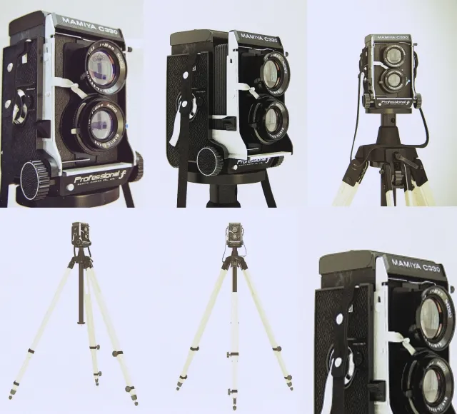 decoration – mamiya c330 3ds Max