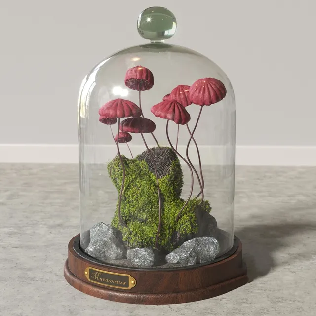 decoration – Marasmius_Florarium 3ds Max
