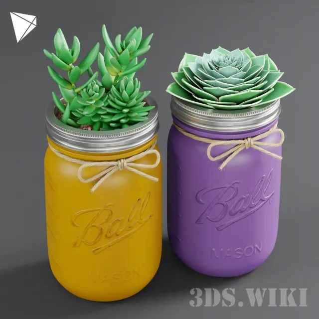 decoration – Mason Jar Succulent Jars With Plant 3ds Max