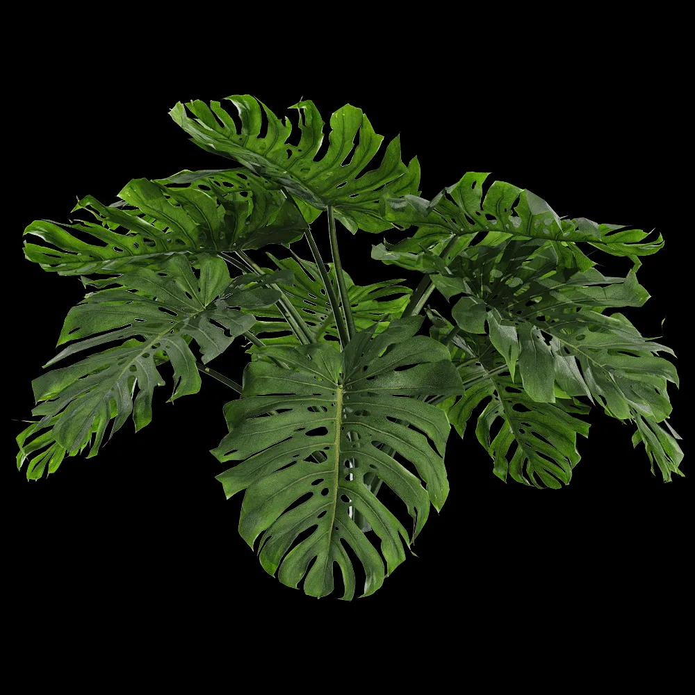 decoration – Monstera deliciosa 1 3ds Max