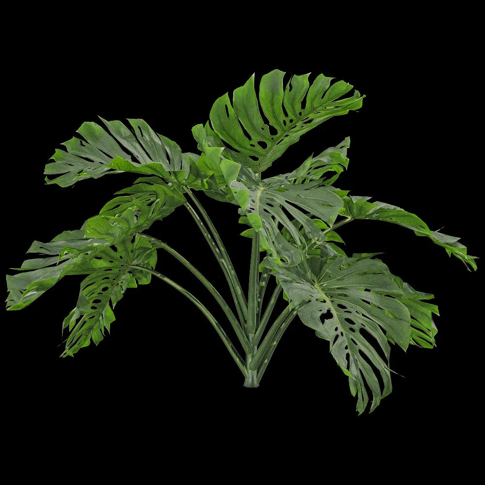 decoration – Monstera deliciosa 2 3ds Max