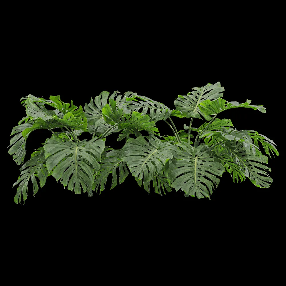 decoration – Monstera deliciosa 3 3ds Max