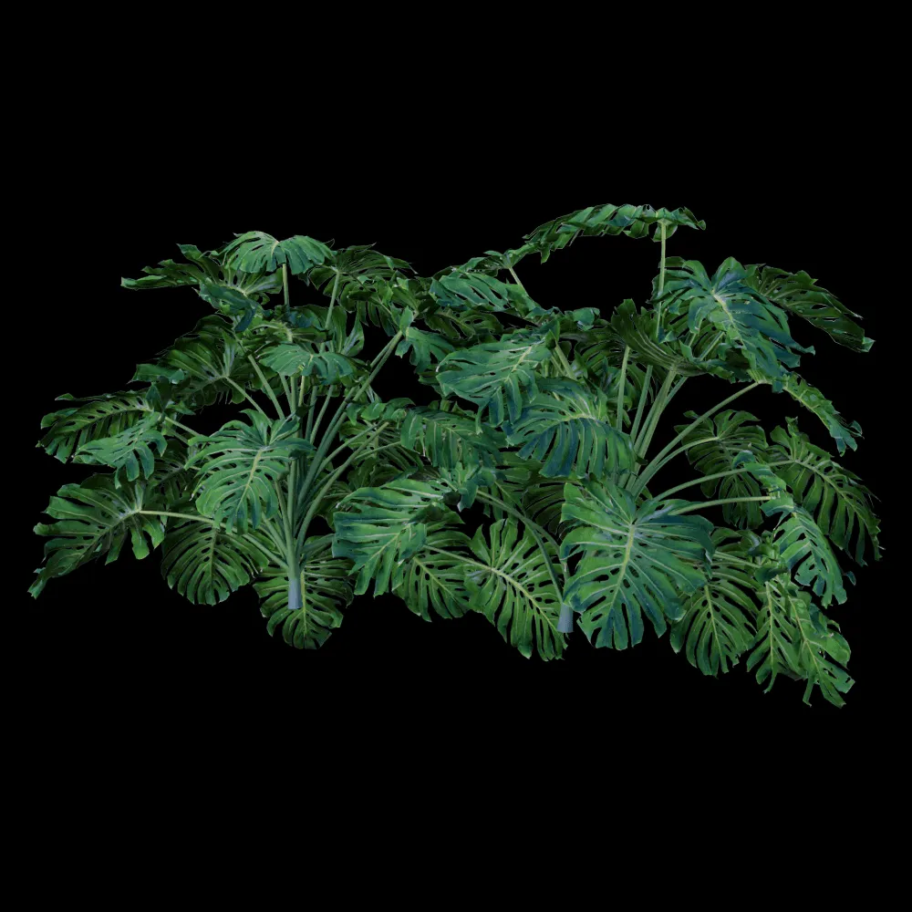 decoration – Monstera Deliciosa 6 3ds Max
