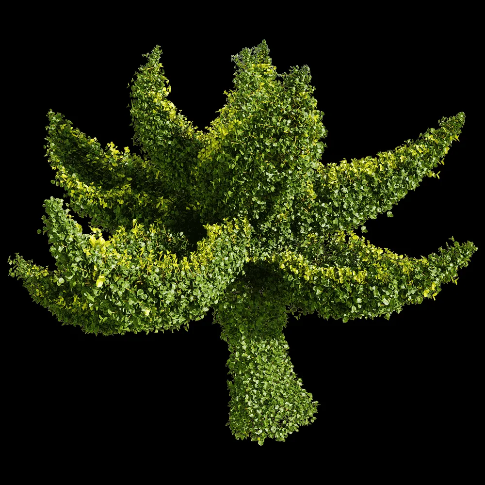 decoration – Muehlenbeckia complexa 3 3ds Max