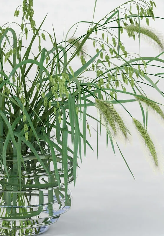 decoration – Northern Sea Oats 3ds Max