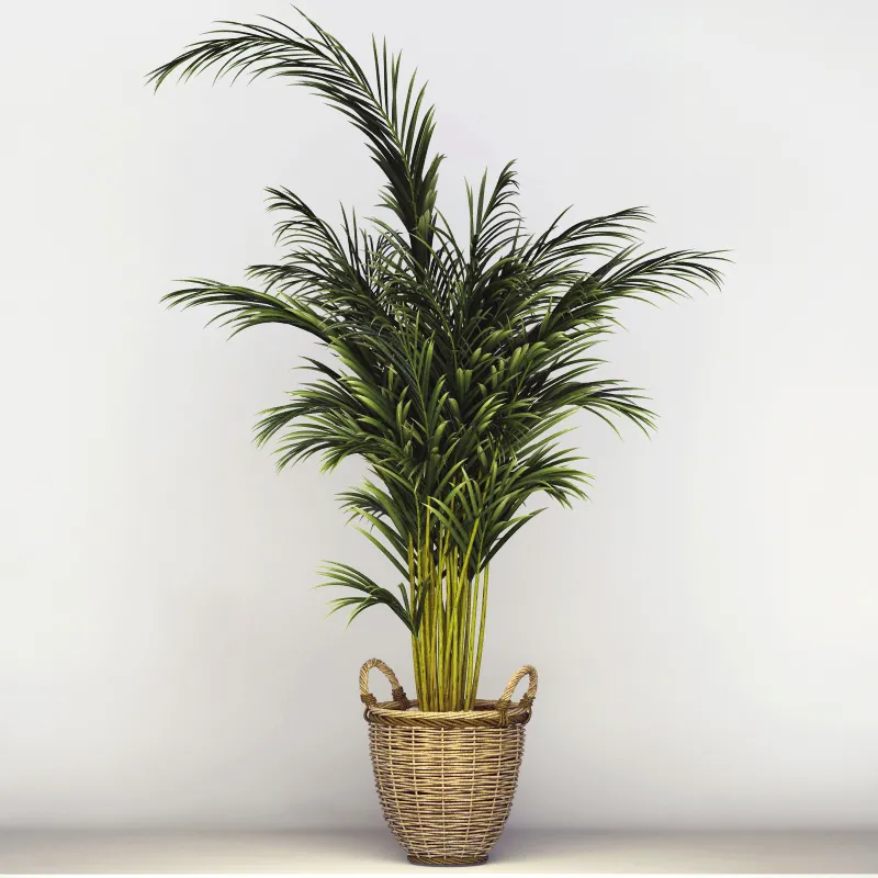 decoration – Office tree 056 3ds Max